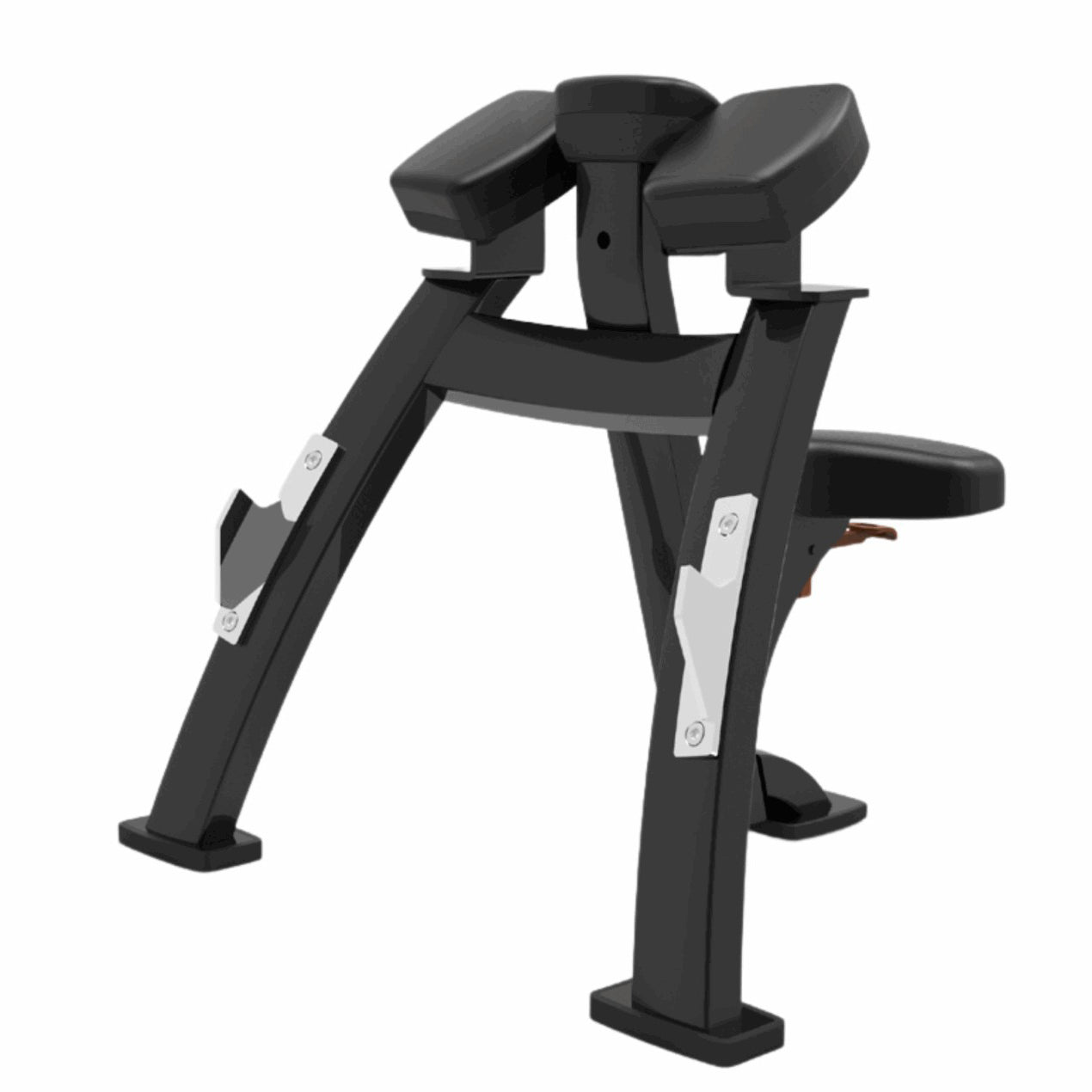 BL50 - Biceps Curl Rack